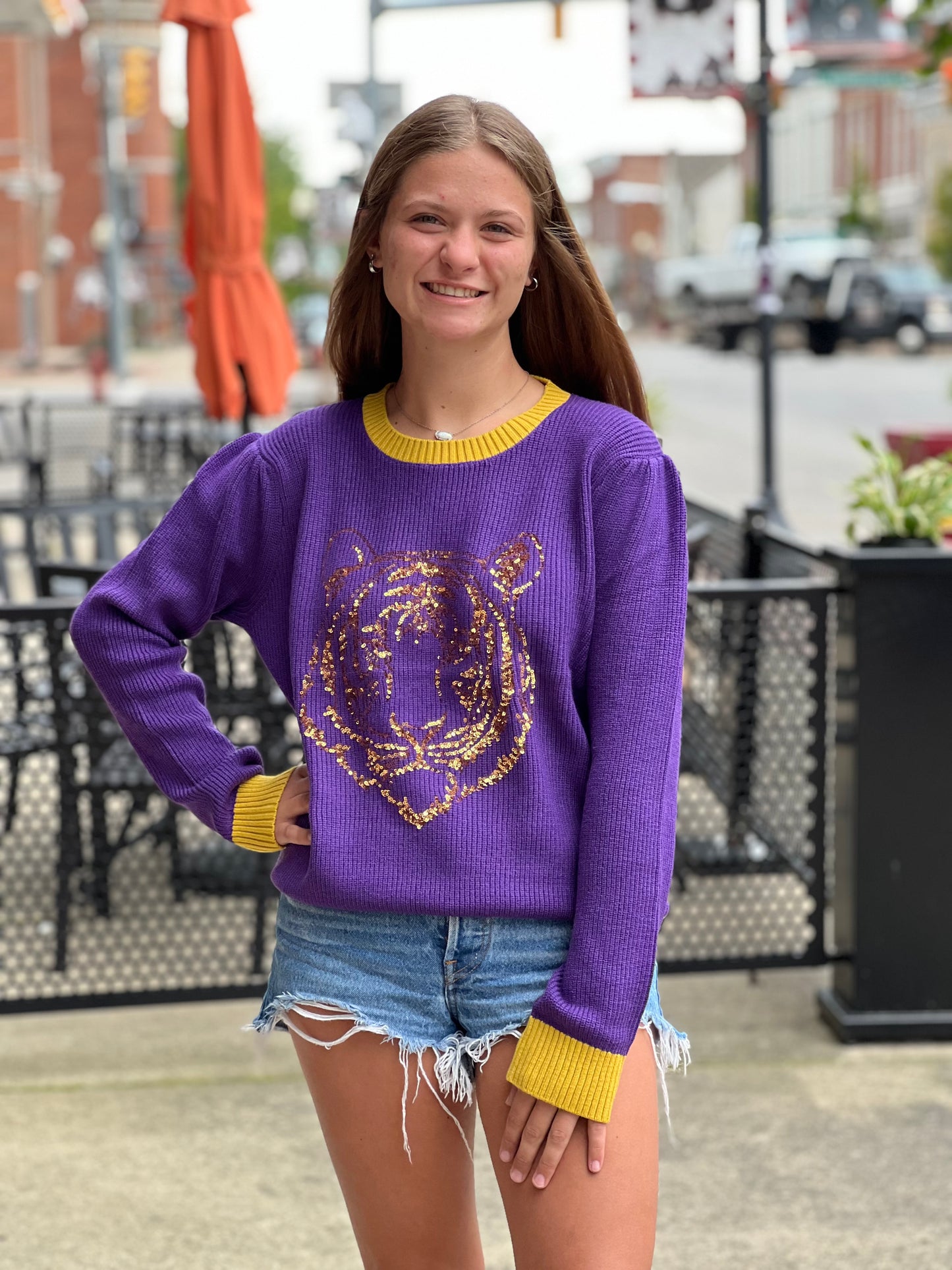 Tiger Territory Sweater